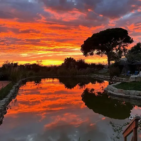 Luksustelt Oasis Camp Portugal Lagoa (Algarve)